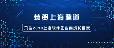 恭贺上海Topay 钱包(中国)信息技术有限公司入选"2018上海软件企业百强"