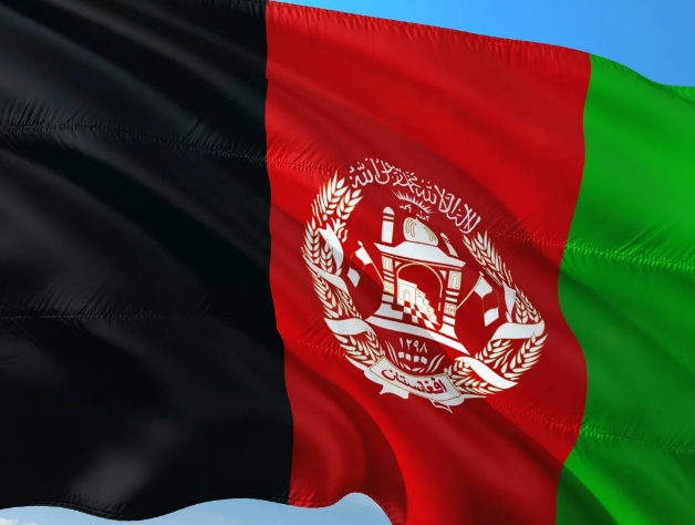 阿富汗海关数据查询平台（附免费试用查询）