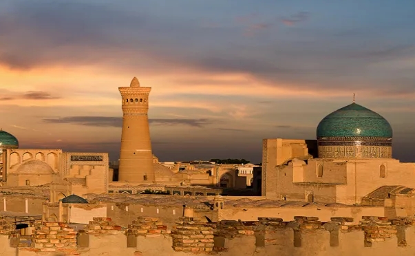 乌兹别克斯坦海关数据查询平台（附免费试用查询名额)